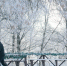 background - Cher-Poisk.Ru