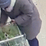Воровка в магазине - Город Че