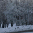 Череповец-Поиск - Cher-Poisk.Ru