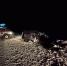 Фото: ГАИ - CherInfo.Ru