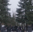 Череповец-Поиск - Cher-Poisk.Ru
