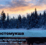 Какие преференции доступны бизнесу, который заходит с проектом в город Костомукша? - Агентство Городского Развития