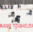 Под Череповцом начались заезды на мотоциклах с колясками - Город Че