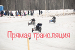 Под Череповцом начались заезды на мотоциклах с колясками