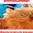 Важная информация для владельцев птицы!. - Череповецкий район