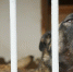 background - Cher-Poisk.Ru