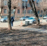 Фото: полиция - CherInfo.Ru
