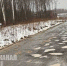 В Череповце планируют отремонтировать дорогу к кладбищам №4 и №5 в 2027 году - Город Че