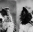 background - Cher-Poisk.Ru