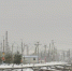 Тимур Бойков, Vologda-poisk.ru - Cher-Poisk.Ru